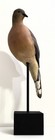 Life Size BRAD FALKINBURG VERTICAL MOURNING DOVE CARVING Wood Bird Sculpture  — photo 10