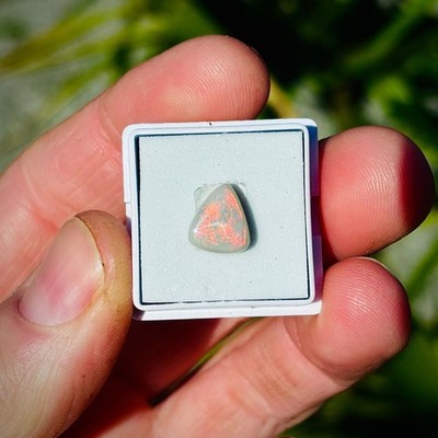 Lightning Ridge Opal Triangle Australian Cabochon Gemstone 2.5 carats OPL263