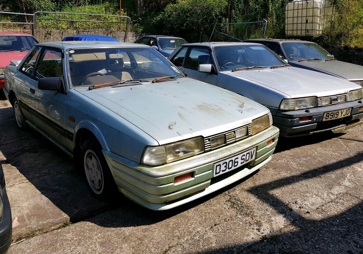 s-l1600.jpg