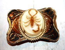 Vintage Collectible Genuine Scorpion In Lucite Oval Western Cowboy Belt Buckle