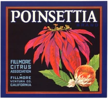 POINSETTIA (FLOWERS) ORIGINAL 1930s FILLMORE CALIFORNIA ORANGE FRUIT CRATE LABEL
