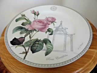 2 Vintage Royal Botanic Gardens Kew Fine China Dinner Plates 10.5" R.Centifolia