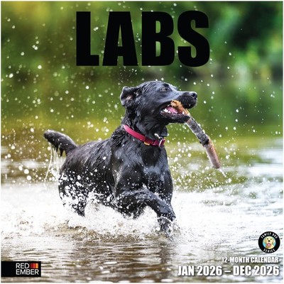 RED EMBER Labs 2026 Wall Calendar 12 Month | 12'' x 24'' New 2026, 05 - 