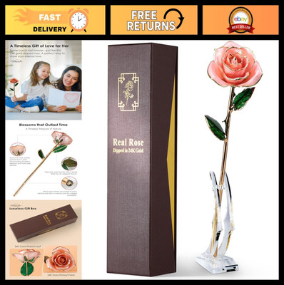 24K Gold Dipped Real Rose - Unique Eternal Gift for Her - Perfect for Valentine'