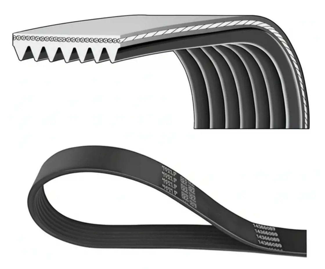 DAYCO 7PK1835 Cinghia Poly-V - Immagine 2