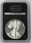 Photo of a 2015 American Silver Eagle from an eBay listing that sold on Jul 22, 2026