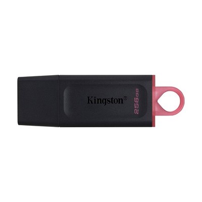 Kingston DataTraveler Exodia USB 3.2 Gen 1 Flash Drive DTX/256GB