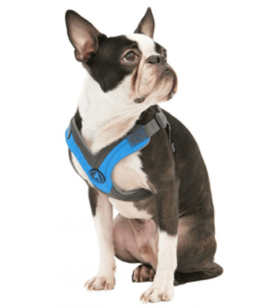 gooby harness amazon