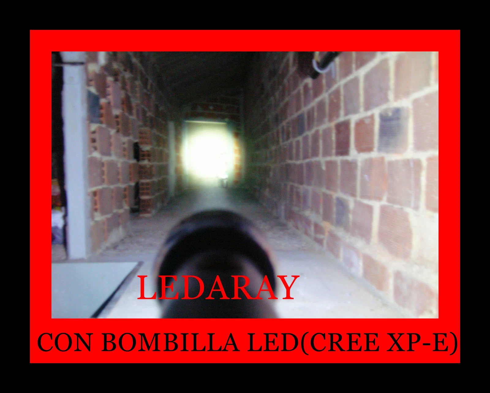 Imagen 8 de 9