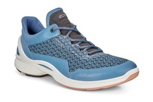 ecco retro blue