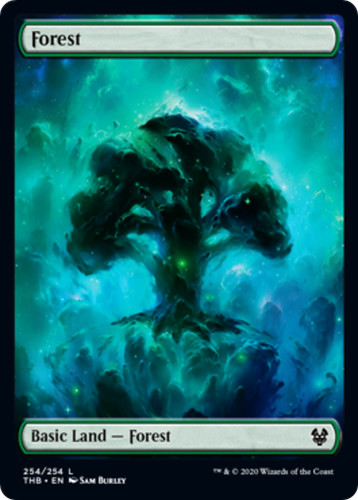 FOIL Forest Japanese Theros Beyond Death FULL ART mtg NM | eBay