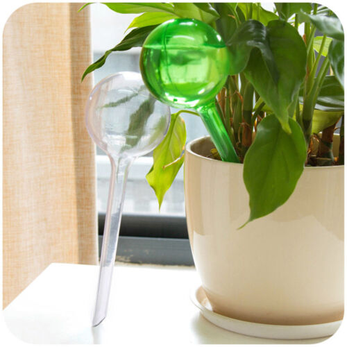 Plant Self-Watering Bulb Shape Waterer Globes Automatic Irrigation Plante~m' - Imagen 1 de 7