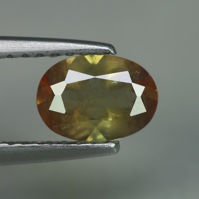 0.65 Cts_Brazilian Mine_100 % Natural Unheated Double Tone Color Andalusite