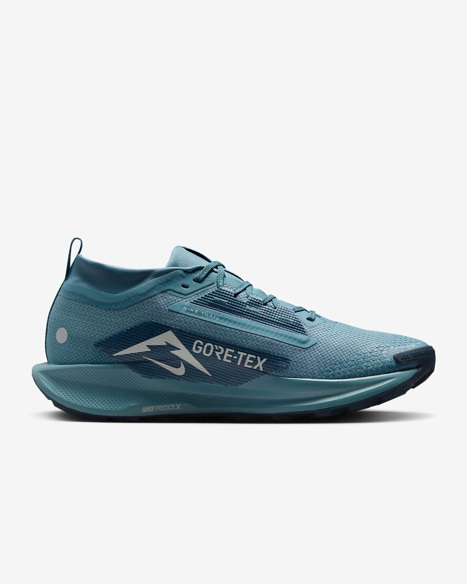 NIKE Pegasus Trail 5 GORE-TEX FQ0908-005 Smoky Blue Light  display picture 1