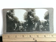 Judge Parker Reading Letter Stereoview Universal Photo Art Co. 1906 Esopus NY