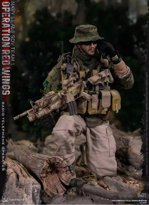 Damtoys 1/6 78081 Operation Red Wings Action Figure In Stock