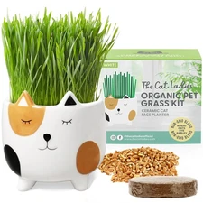 The Cat Ladies Cat Grass for Indoor Cats, Cat Grass Growing Kit with Organic ...