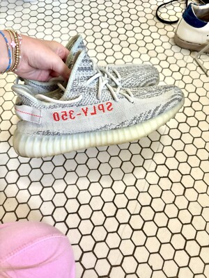 zebra blue tint
