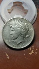 1921 High Relief Peace Silver Dollar $1 XF/AU                               W692