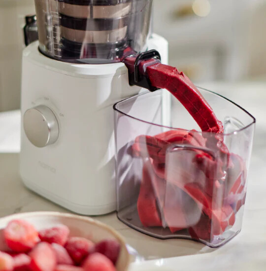 NAMA JUICER J2 COLD PRESS SORBET ATTACHMENT PULP STRAINER ALL