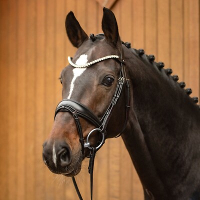 Passier - FAVORITE by INGRID KLIMKE Snaffle Dressage Bridle OS w/2 browbands!
