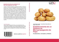 Javier Rivera LóPez (U. A.) | Establecimiento De Un Sistema De...