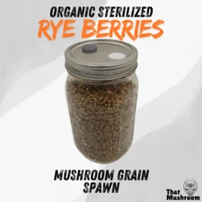 Sterilized Rye Grain for Mushroom Cultivation - Quart Jar with Injection Port