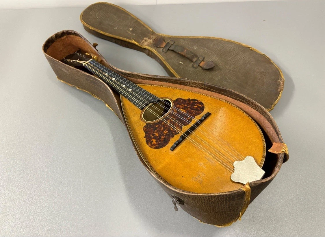 Vintage Mandolins | eBay