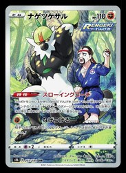Passimian 203/184 VMAX Climax Character Rare Holo Japanese