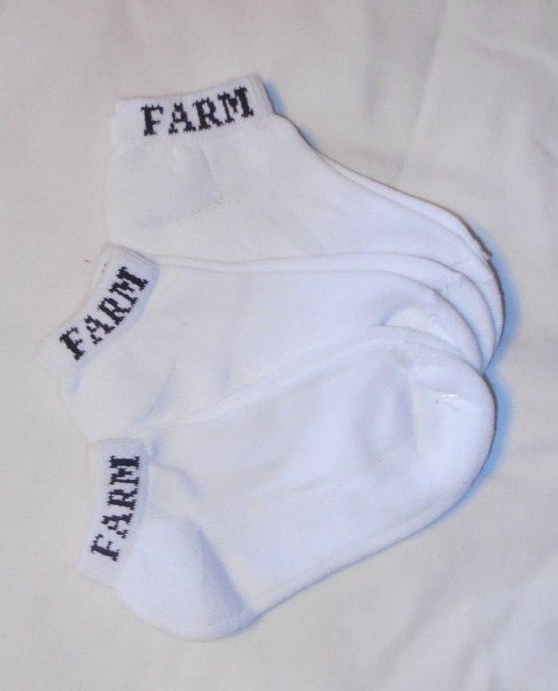 Boys Girls Vintage Rare Comfy Soft Phat Farm Low Cut 3 Pair Socks Sz 7-8.5