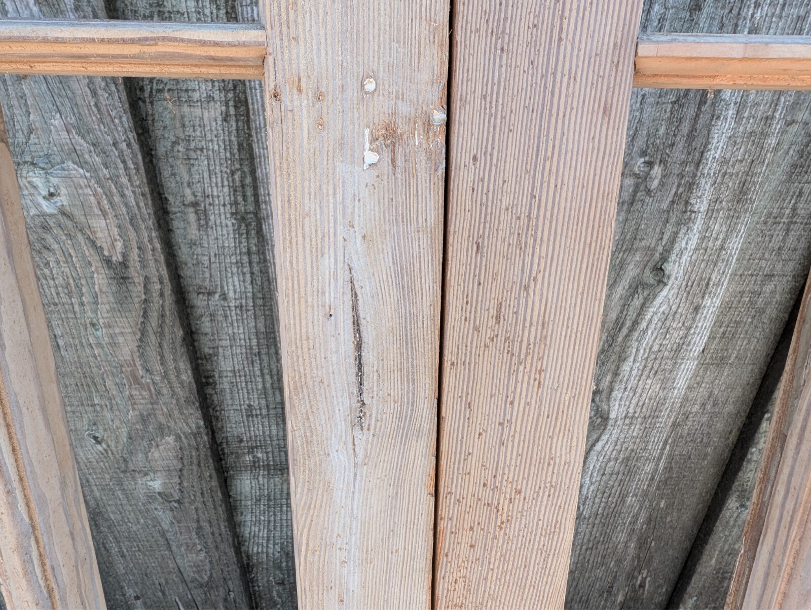 Picture 10 of 24