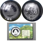 10 Yuan 2026 China 999 30Gr Silver Panda Coin in Card
