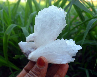 scolecite spray formation minerals specimen m-3