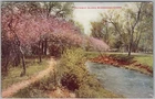 Minnehaha Creek Pathway Vintage Postcard V. O. Hammon Minneapolis H86
