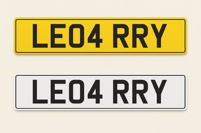 LE04 RRY privates Nummernschild mit Zulassungsbeleg LEROY LEO 4 ??? 