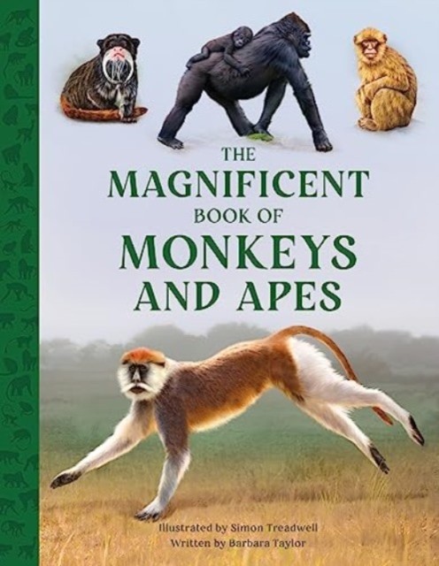 The Magnificent Book Of Monkeys And Apes Barbara Taylor - Image 2
