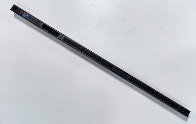 Server Technology C-24V1-C20M Sentry Metered Gabinet Distribution Unit