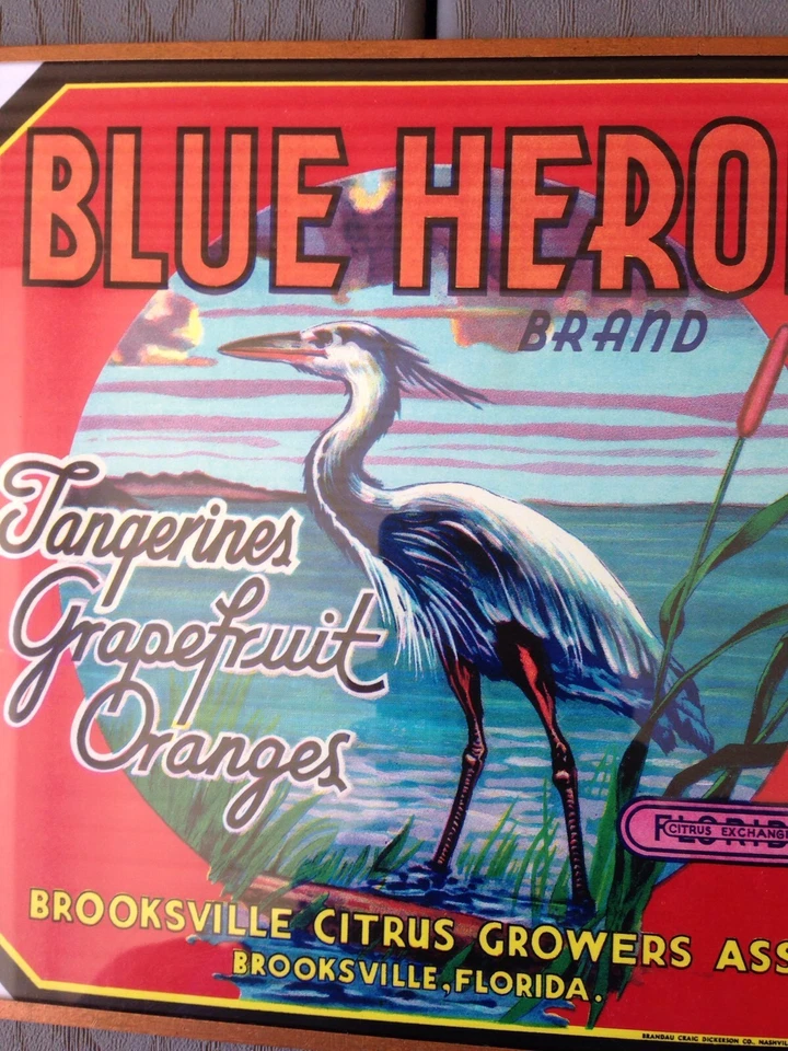 Blue Heron Tangerines Oranges Brooksville Citrus Growers Print Reproduction - Image 2 of 4