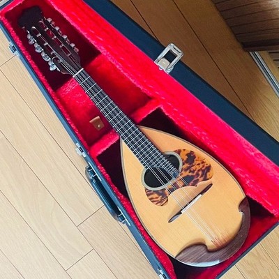 Venezia M-50 木曽鈴木バイオリン社 石川捷二郎監修 マンドリン Kiso