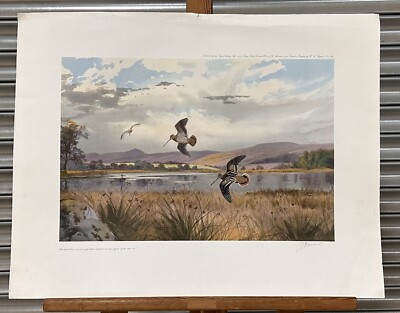 Limited Edition Snipe Print by John Cyril Harrison Signed by the Artist