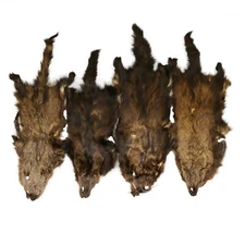 Glacier Wear Brown / Pale Brown Fisher - #2 Quality fsr1006