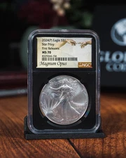2024 (P) American Silver Eagle with Star Privy Mark – First Releases NGC MS70