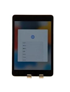 iPad Mini 4 Wi-Fi 16GB | eBay