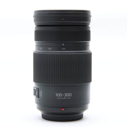 Panasonic LUMIX G100-300mm F4.0-5.6 II POWER OIS(M43) -Near Mint- #595