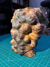 UNIQUE HOME ACCENT: Standing Buckeye Burl, 1 live side, 3 polished sides   COOL