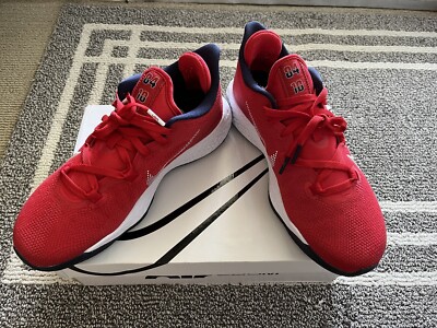 Men Size 11 Nike Air Zoom BB NXT USA 2020