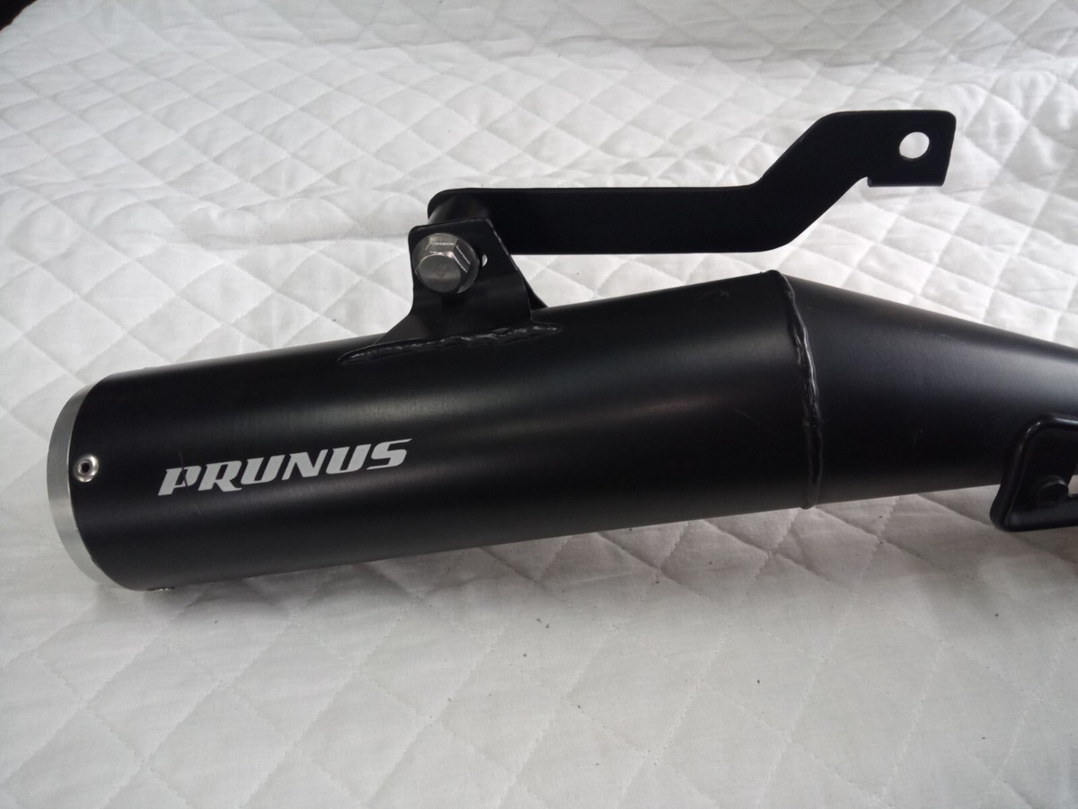 Yamaha XT250 Serow250 Used Exhaust Slip-on Muffler Y'sGear Prunus