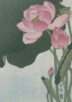 BLOOMING LOTUS FLOWERS by Ohara Koson