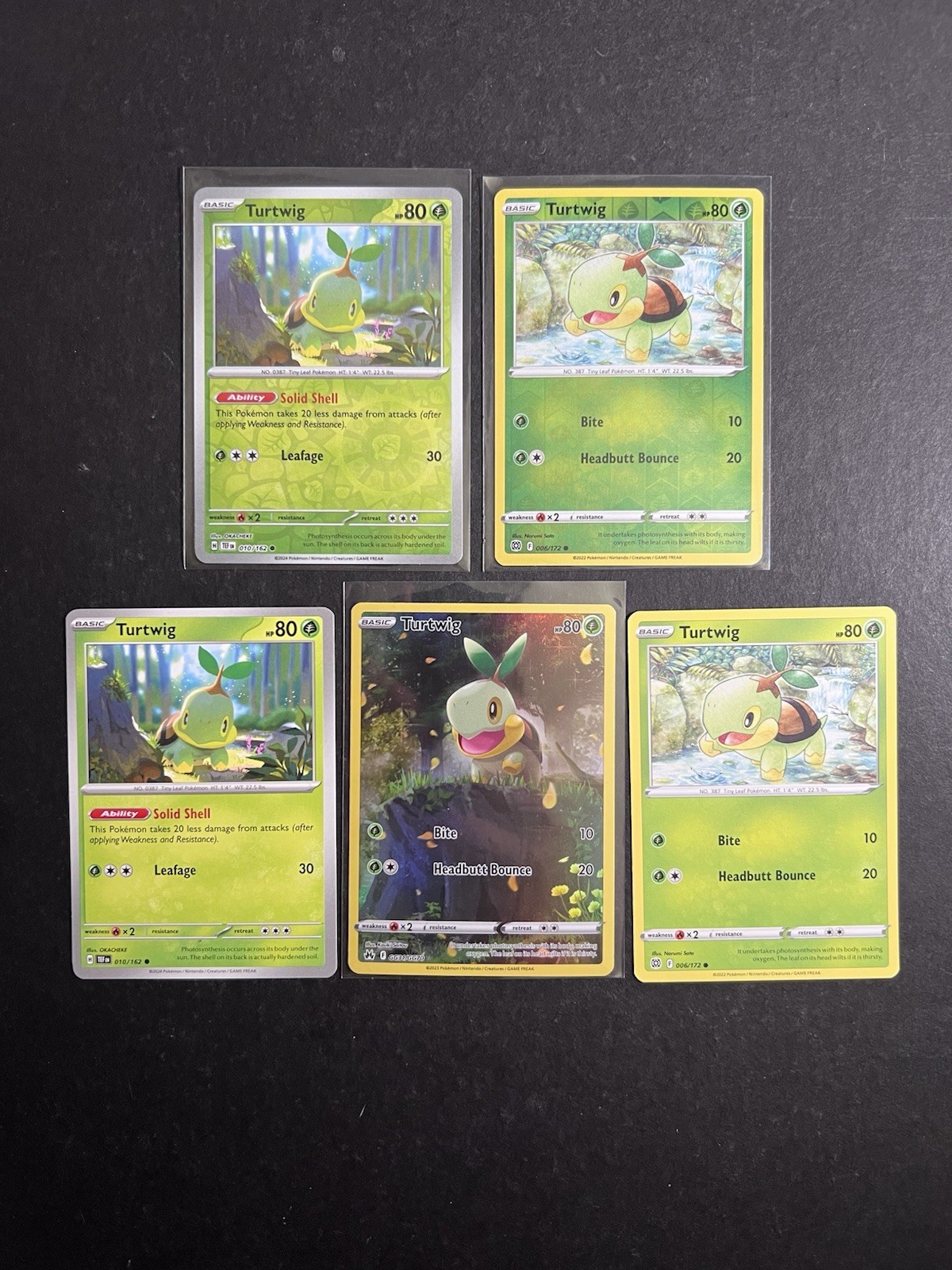 5 Turtwig Pokemon Card Collection Reverse Holo Galarian Gallery SWSH SV PTCG NM