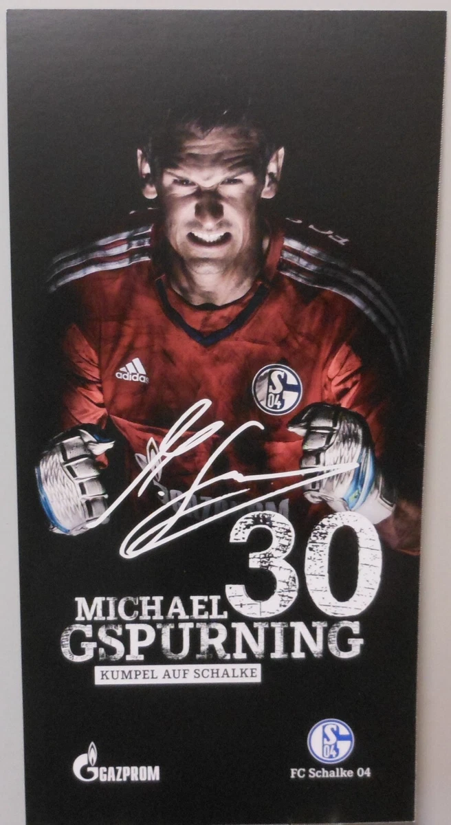 12 Cartes Autographes FC Schalke 04 – Saison 2008/09 – Originales Signées – A 156850